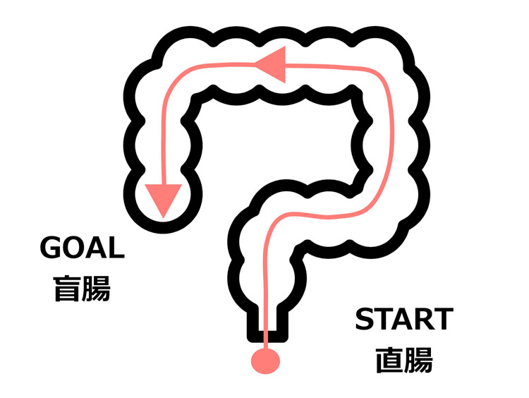 直腸から盲腸までのイメージイラスト