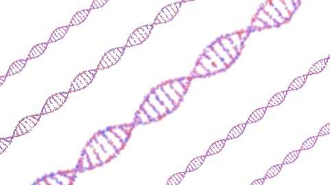 遺伝性大腸がんのイメージ画像