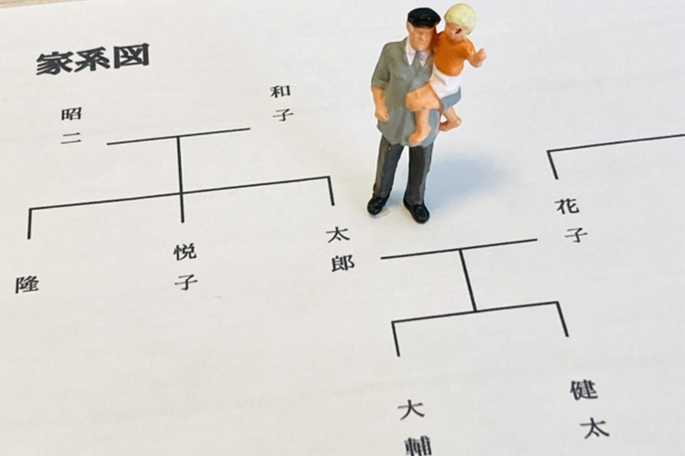 遺伝的要因のイメージ画像