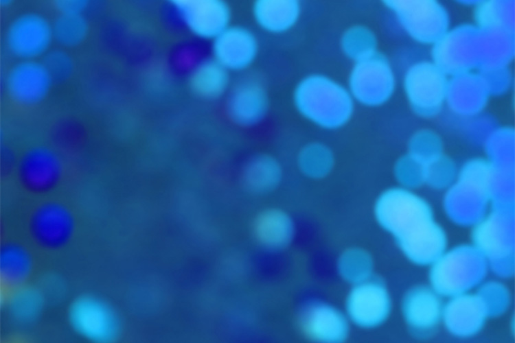 免疫異常の現状のイメージ画像